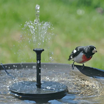Hot Sale🔥⛲ Solar Fountain, Solar Powered Bird Bath Fountain Pump( 🔥Free Shipping)