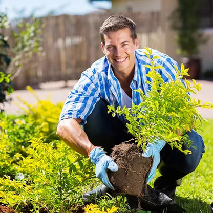 Limited Sale - BUY 2 GET 1 FREE Soil Improvement Loosening Agent